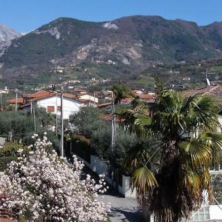 House Versilia Luca E Giada, 5 Chilometri Da Forte Dei Marmi! Dış mekan fotoğraf